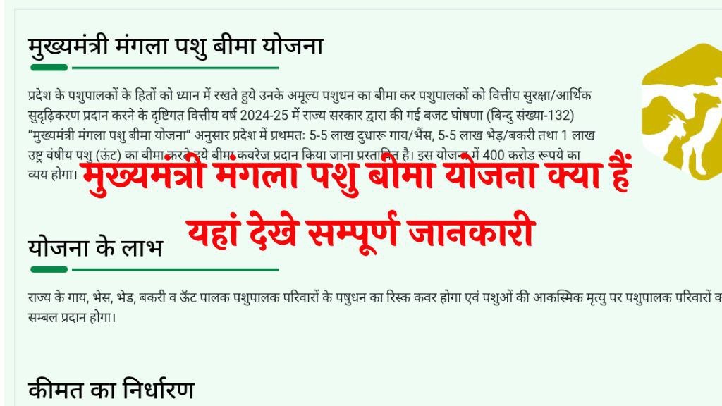 Chief Minister Mangala Animal Insurance Scheme